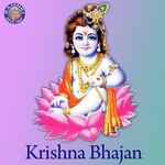 Krishna Bhajan - Acharya Mridul Krishna Goswami Song Download